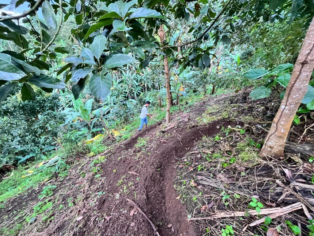 Smile Berm