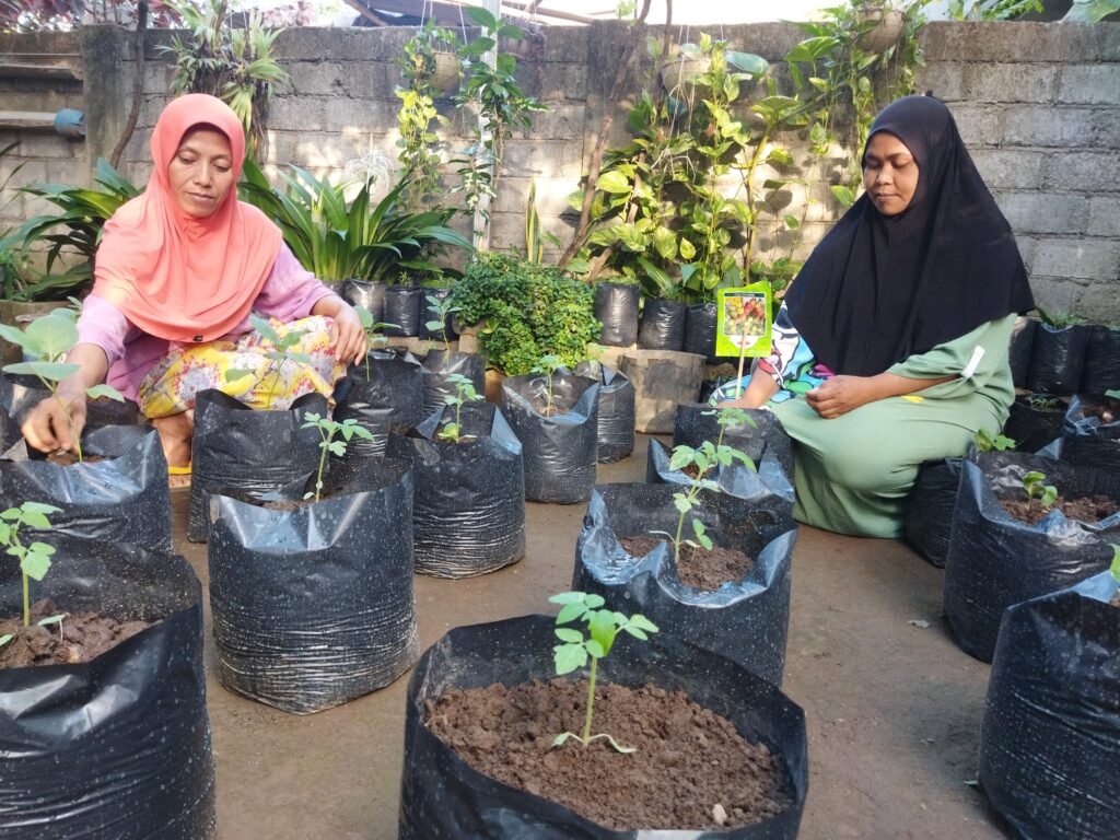 Pemanfaatan pekarangan